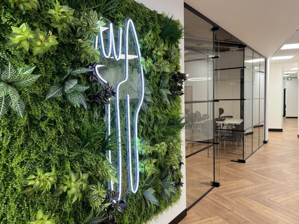 Plant wall in a modern office with demountable glass partitions